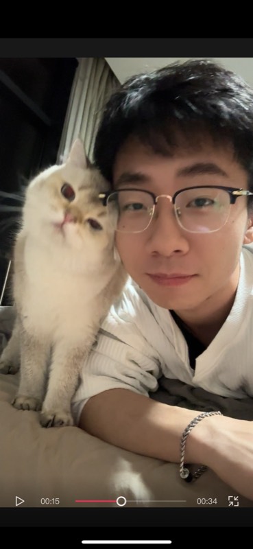 猫咪